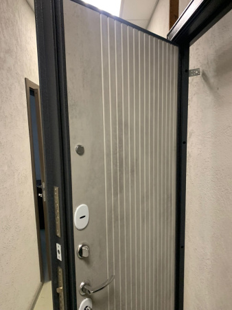 Входная дверь Мастино Trust Eco 9E-161