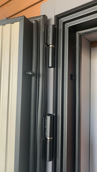 Входная дверь Страж Модика РЖ