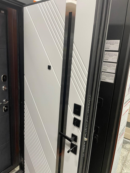 Входная дверь Страж 3К Айра