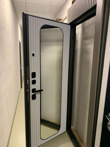 Входная дверь Страж Деспи РЖ