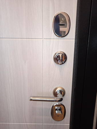 Входная дверь Мастино Family Eco 9Е-193