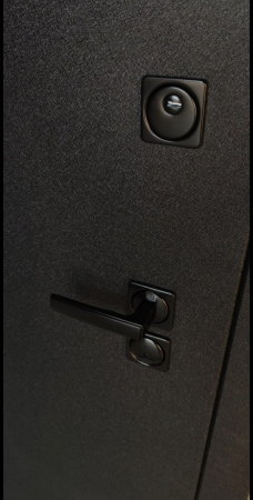 Входная дверь Argus ДА 92 (промо) Ювентус Black Style