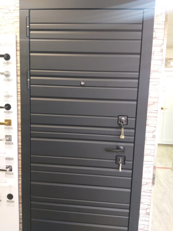 Входная дверь Страж Энца РЖ