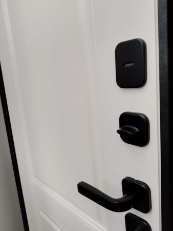 Входная дверь Страж 3К Бруклин