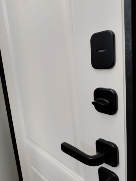 Входная дверь Страж 3К Бруклин