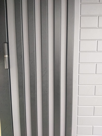 Входная дверь Страж Парини РЖ