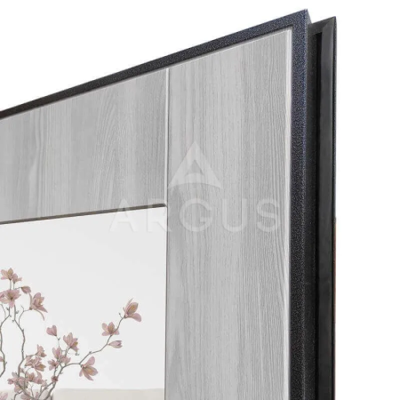 Входная дверь Argus ДА 66 (промо) Милли