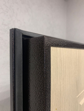 Входная дверь Страж 2К Лидер