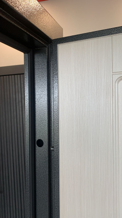 Входная дверь Страж 2К Мирраж