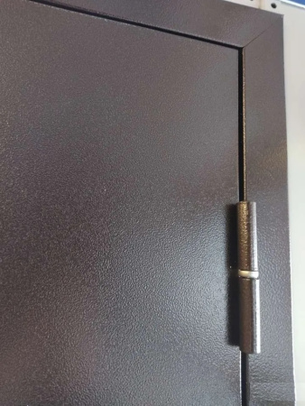 Входная дверь Промет Профи Про