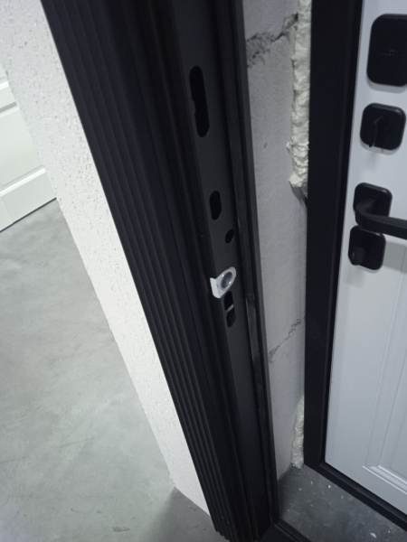 Входная дверь Страж Вилья РЖ