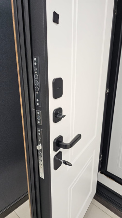 Входная дверь URBAN Турин