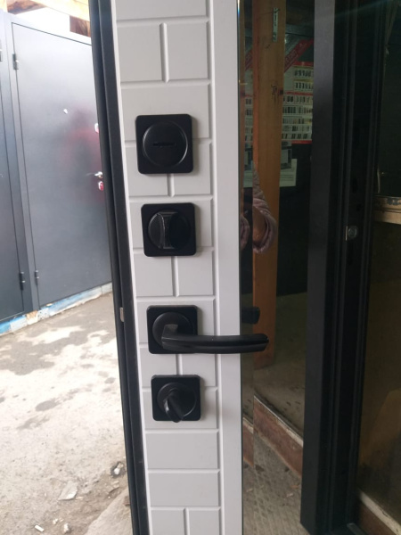 Входная дверь Страж Парини РЖ