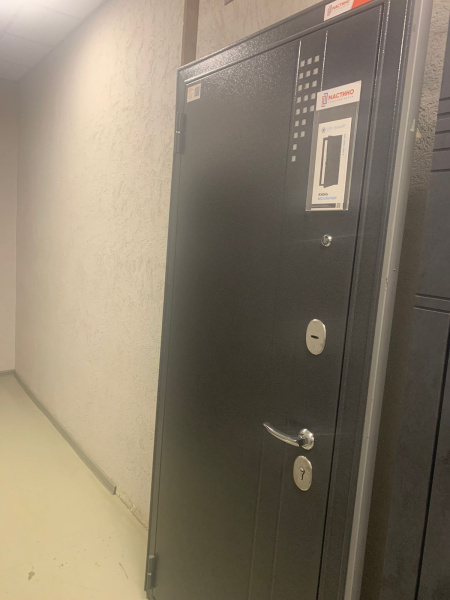 Входная дверь Мастино Trust Eco 9E-161