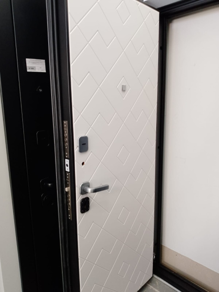 Входная дверь Страж Вальди РЖ