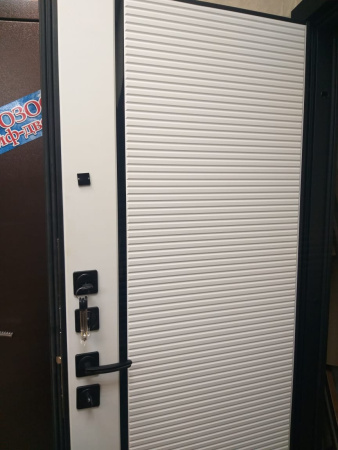 Входная дверь Страж Румо РЖ