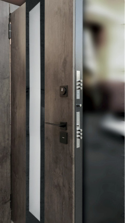 Входная дверь с терморазрывом Argus Тепло Букле черный Виана