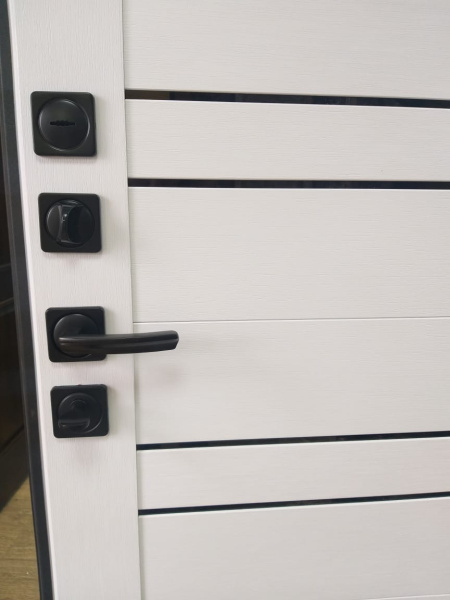 Входная дверь Страж Энца РЖ