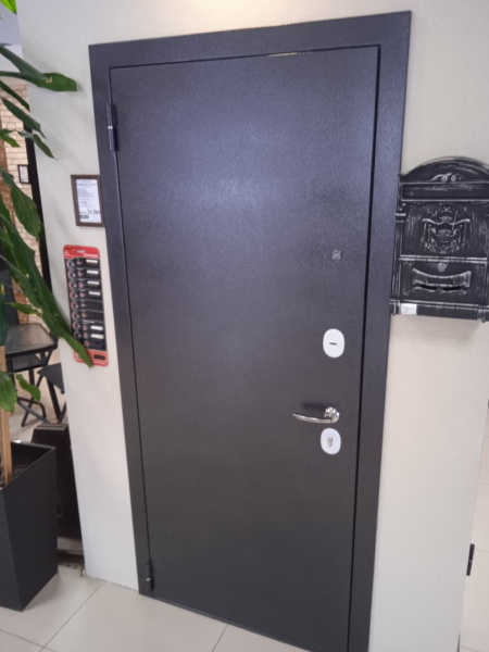 Входная дверь Страж 2К Реалист метал