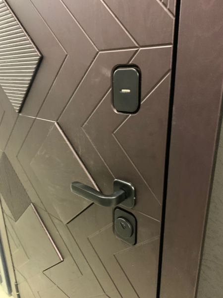 Входная дверь Страж Сангано РЖ