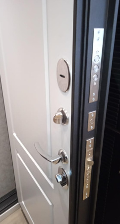 Входная дверь Мастино Trust Eco 9ED-1