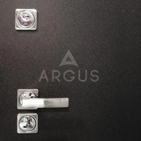 Входная дверь Argus ДА 96 Крейзи