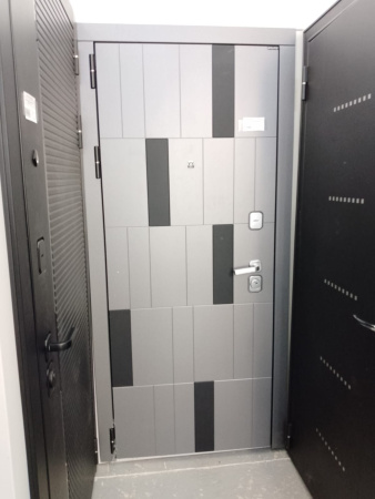 Входная дверь Страж Вальди РЖ