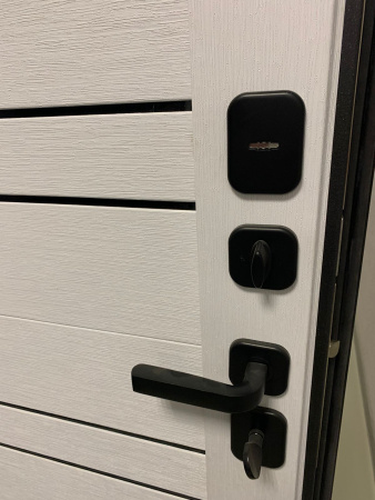 Входная дверь Страж Энца РЖ