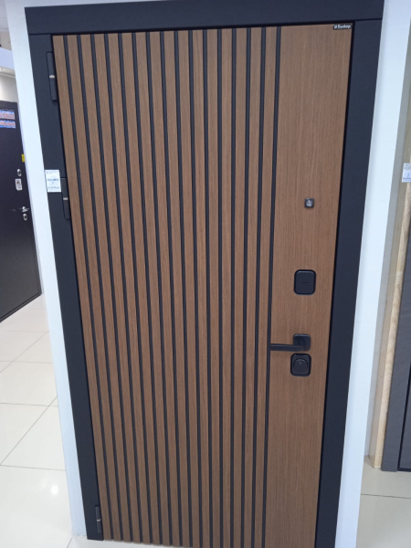 Входная дверь Страж Модика РЖ