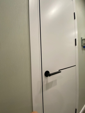 Межкомнатная дверь FlyDoors FN 32 ДГ Эмалит