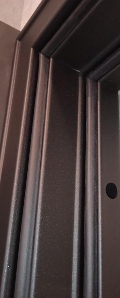 Входная дверь Мастино Trust Eco 9ED-1