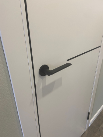 Межкомнатная дверь FlyDoors FN 32 ДГ Эмалит