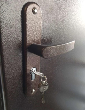 Входная дверь Промет Профи DL