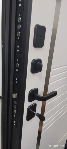 Входная дверь Дельта-3Д