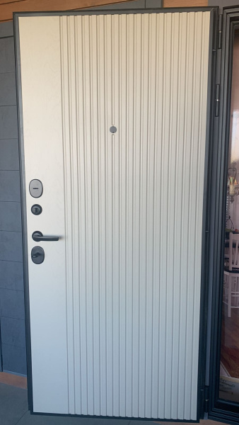 Входная дверь Страж Модика РЖ