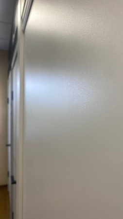 Межкомнатная дверь FlyDoors C01 ДГ ICE