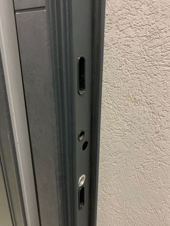 Входная дверь Страж Энца РЖ