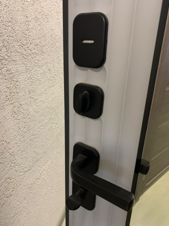 Входная дверь Страж Деспи РЖ