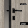 Межкомнатная дверь DVERONA Флэт CPL Дуб пепельный/ ABS черная 800х2000
