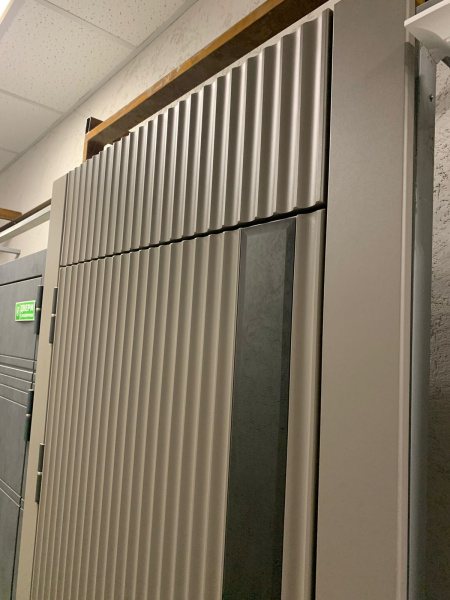 Входная дверь Страж Деспи РЖ