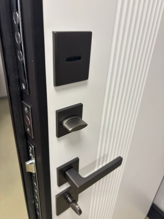 Входная дверь Страж 2К Горизонт PP