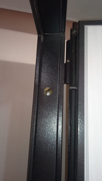 Входная дверь Страж 2К Модерн с зеркалом